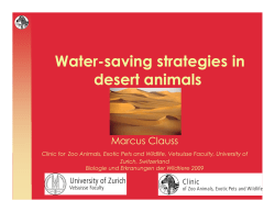 Desert adaptations english - Clinic for Zoo Animals, Exotic Pets and
