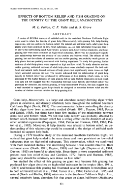 Effects of Bottom Relief and Fish Grazing on the