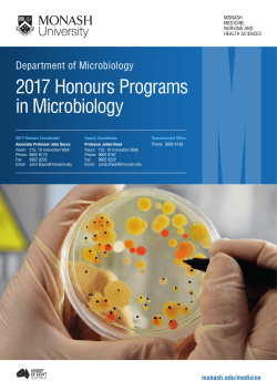 Microbiology Honours Degree - Medicine, Nursing and Health
