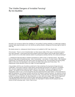 The Visible Dangers of Invisible Fencing!