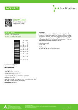 20 bp DNA Ladder - Jena Bioscience