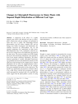 Changes in Chlorophyll Fluorescence in Maize Plants with Imposed