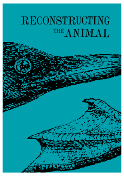 the catalogue here