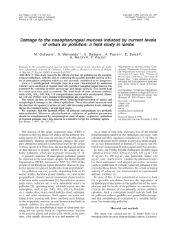 Damage to the nasopharyngeal mucosa induced by current levels of