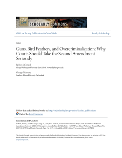 Guns, Bird Feathers, and Overcriminalization: Why Courts Should