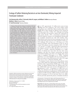Ecology of Sulfate-Reducing Bacteria in an Iron
