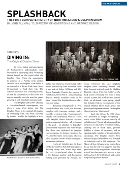 splashback - The Dolphin Show