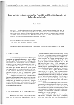 Local and inter-regional aspects of the Paleolithic and Mesolithic