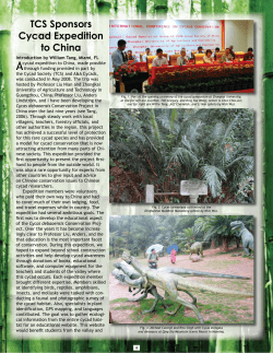 read full report about the 2008 Expedition from The Cycad Newsletter