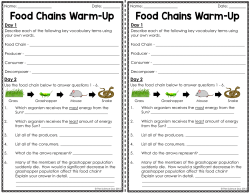 Food Chains Warm-Up Food Chains Warm-Up