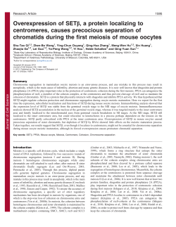 Overexpression of SETb, a protein localizing to centromeres, causes