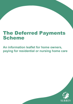 The Deferred Payments Scheme