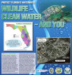 Protect Florida`s Waterways: Wildlife, Clean Water, and You