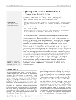 Light-regulated asexual reproduction in