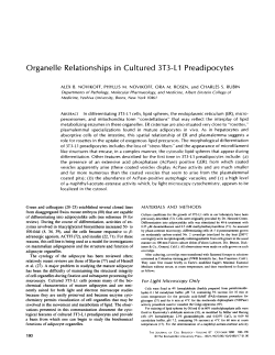 Organelle Relationships in Cultured 3T3-L1