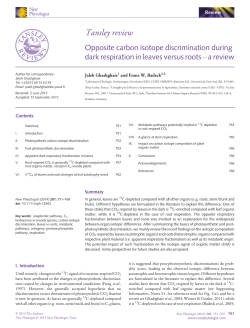 Opposite carbon isotope discrimination during dark respiration in