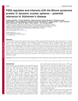 FE65 regulates and interacts with the Bloom syndrome protein in