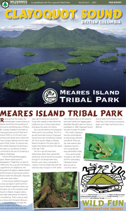Meares Island - Wilderness Committee