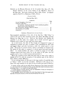 Reports on the Marine Biology of the Sudanese Red Sea.IV. The