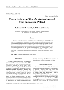 Characteristics of Brucella strains isolated from animals in Poland