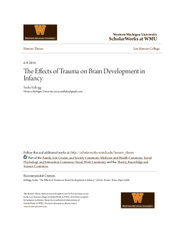 The Effects of Trauma on Brain Development in Infancy