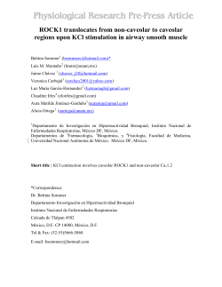 KCl induced airway smooth muscle contraction