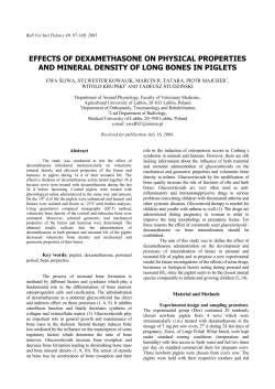 effects of dexamethasone on physical properties and mineral