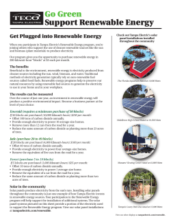 benefits guide - Tampa Electric