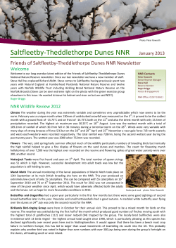 Saltfleetby-Theddlethorpe Dunes NNR January 2013