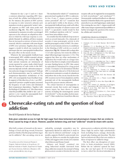 Cheesecake-eating rats and the question of food addiction
