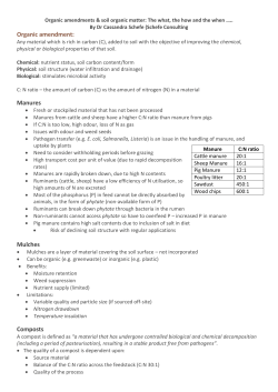 Cassandra Schefe presentation