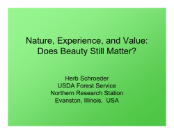 Nature, Experience, and Value: Does Beauty Still Matter?