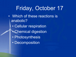 Chapter 8 Metabolism - Perry Local Schools