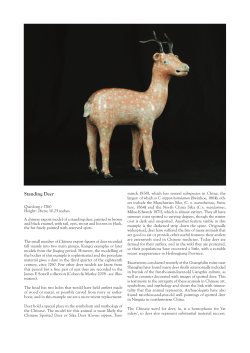 Standing Deer - Baudot Patrimony