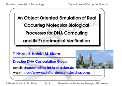 A Probabilistic Approach to Simulation of Molecular Biological