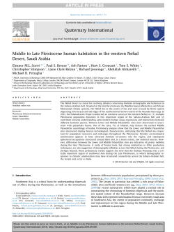 Middle to Late Pleistocene human habitation in the
