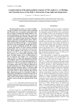 A model analysis of the photosynthetic response of Vitis - Vitis-vea