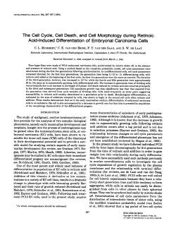 The Cell Cycle, Cell Death, and Cell Morphology during Retinoic