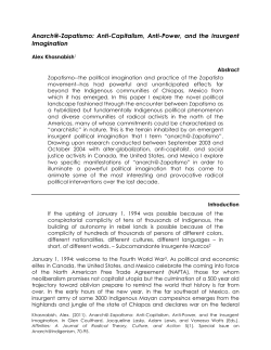 Anarch@-Zapatismo: Anti-Capitalism, Anti