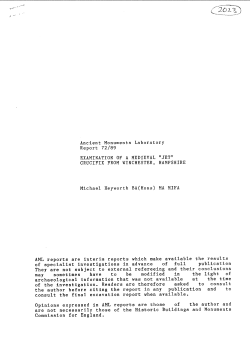 examination of a medieval "jet" - Historic England Research Report