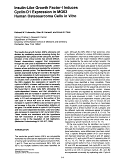 Insulin-Like Growth Factor-l Induces Cyclin