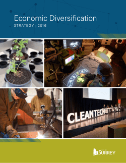 Economic Diversification