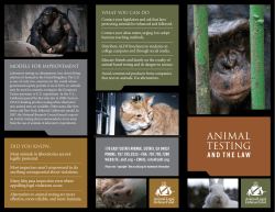 Animal Testing and the Law