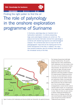here - Energy Delta Institute