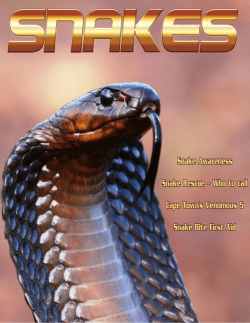 Emergency Numbers - Cape Snake Conservation