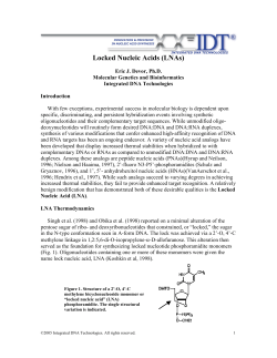 Locked Nucleic Acids (LNAs)