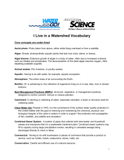 I Live in A Watershed Vocabulary