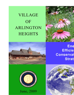 Energy Efficiency Conservation Strategy Guide