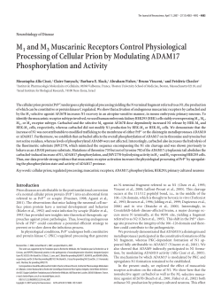 M1 and M3 Muscarinic Receptors Control Physiological Processing