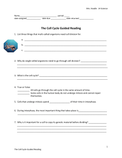 The Cell Cycle Guided Reading
